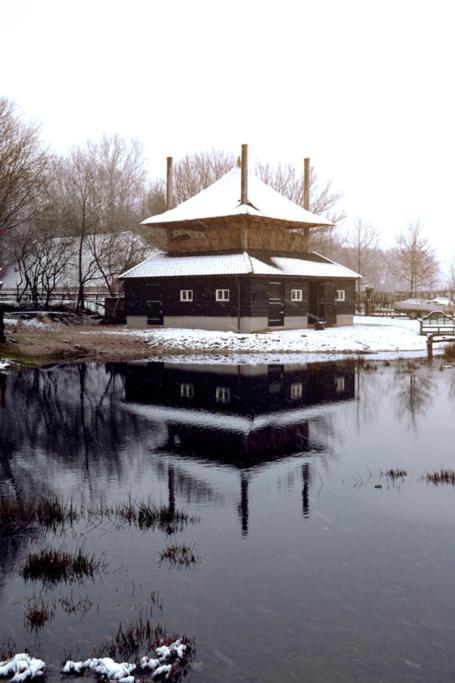 Bed and Breakfast Landgoed Groot Boerle Wijhe Esterno foto