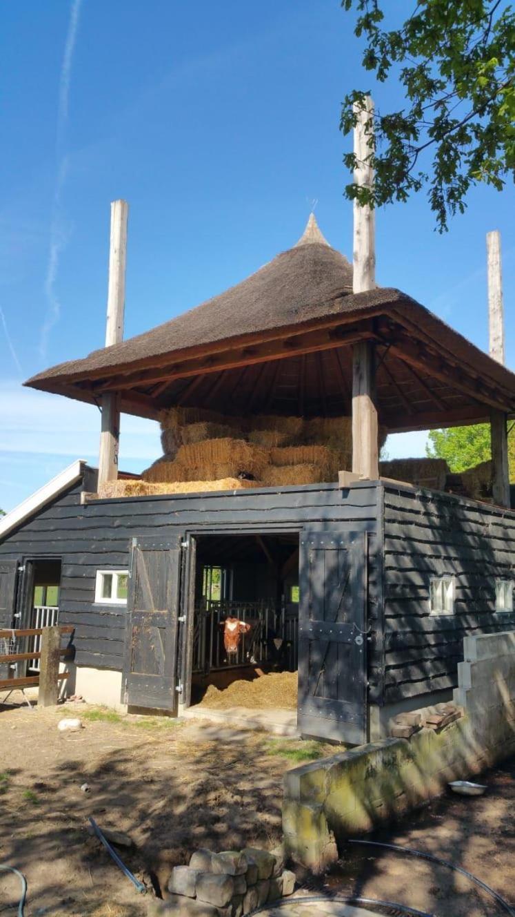 Bed and Breakfast Landgoed Groot Boerle Wijhe Esterno foto