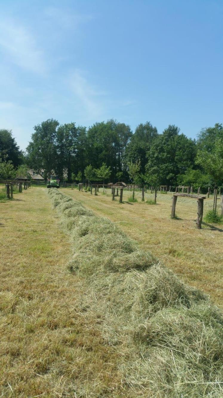 Bed and Breakfast Landgoed Groot Boerle Wijhe Esterno foto